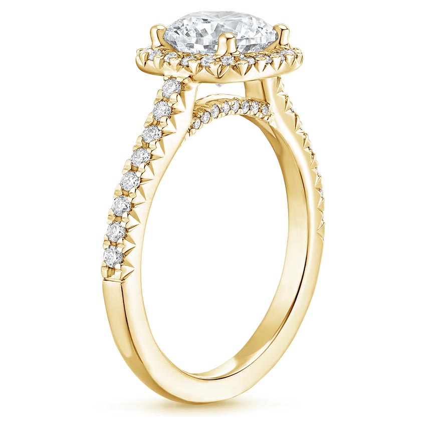 18K Yellow Gold Adorned Odessa Diamond Ring (1/3 ct. tw.), large side view