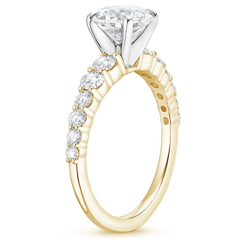 18K Yellow Gold Luciana Diamond Ring (1/2 ct. tw.), large side view