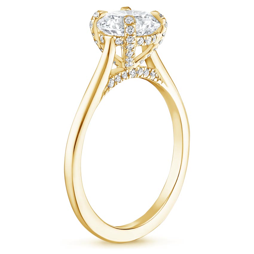 18K Yellow Gold Adorned Dawn Diamond Ring, large side view