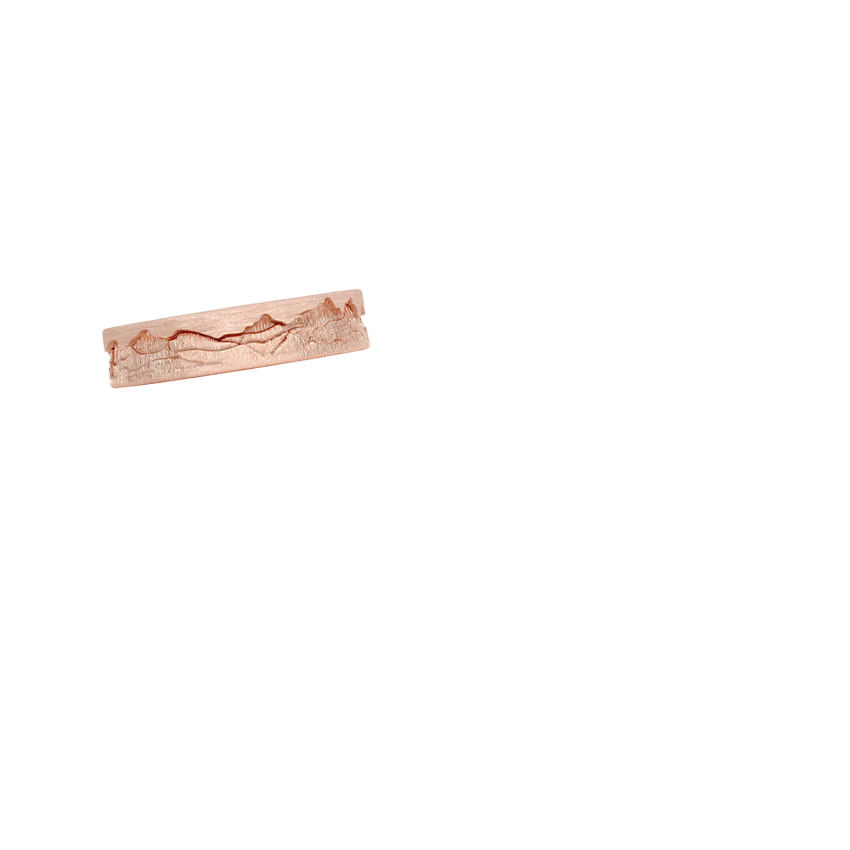 Ring on Hand