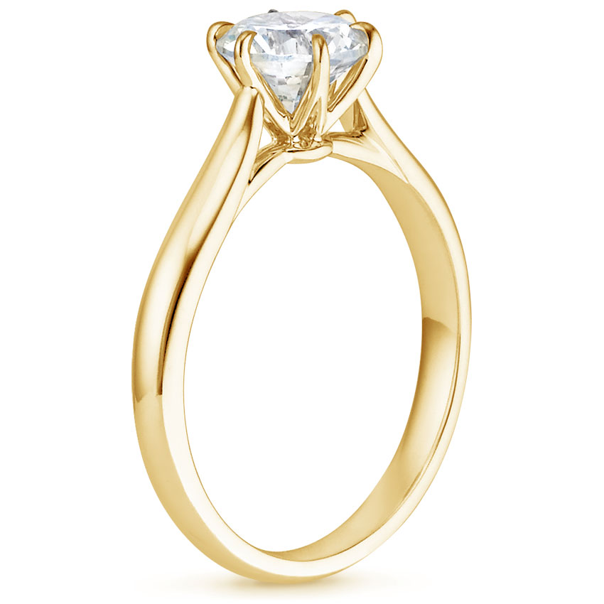 18K Yellow Gold Catalina Ring, large side view