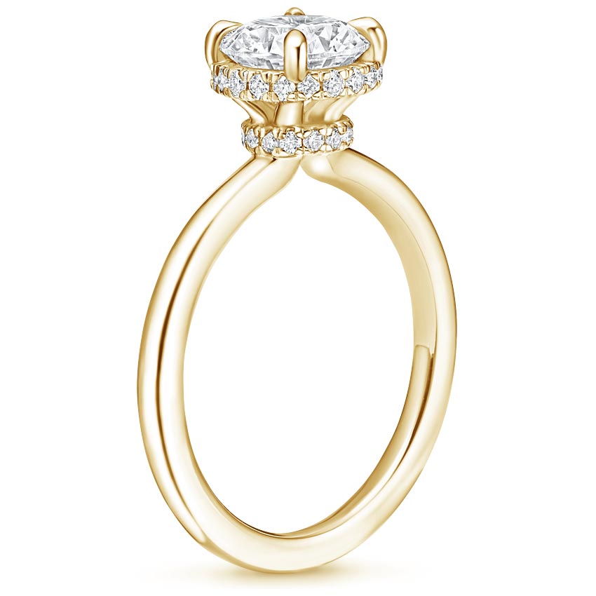 18K Yellow Gold Double Hidden Halo Diamond Ring (1/6 ct. tw.), large side view