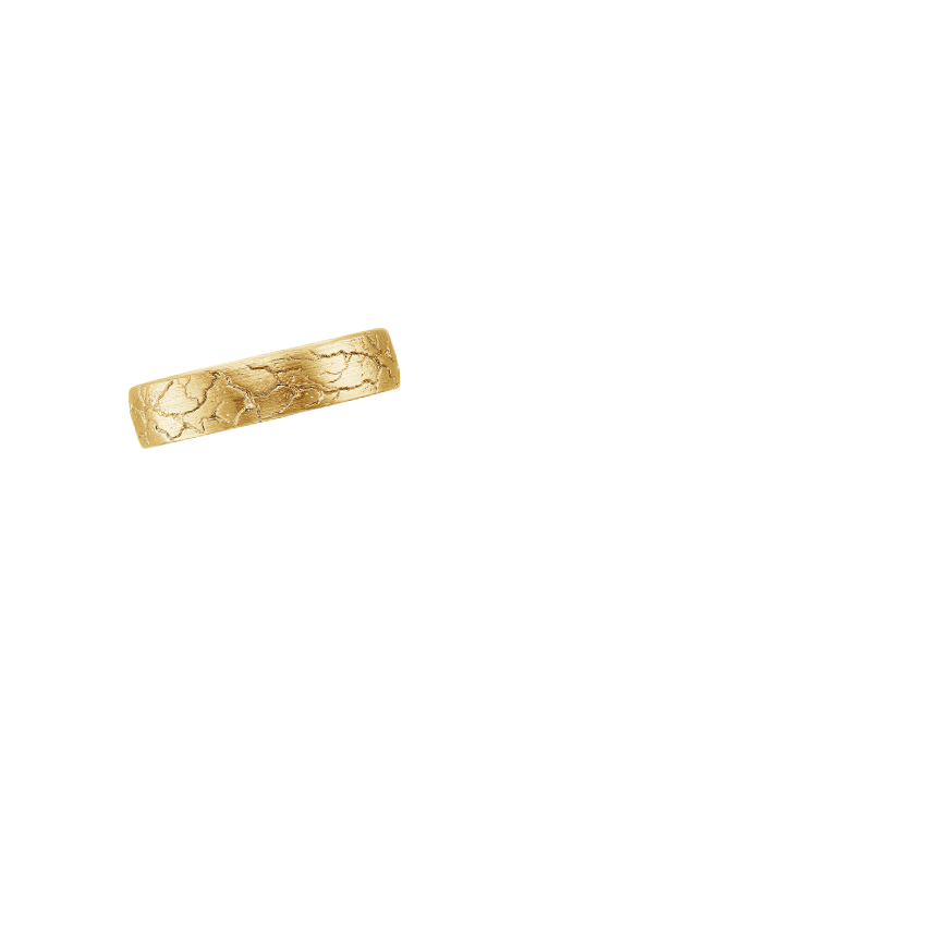 Ring on Hand