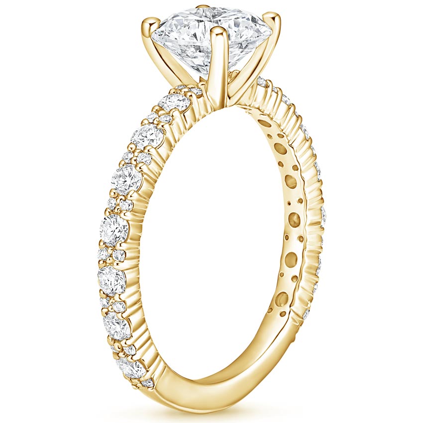 18K Yellow Gold Trevi Diamond Ring (1/2 ct. tw.), large side view