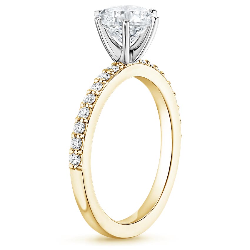 18K Yellow Gold Six Prong Petite Shared Prong Diamond Ring (1/5 ct. tw.), large side view