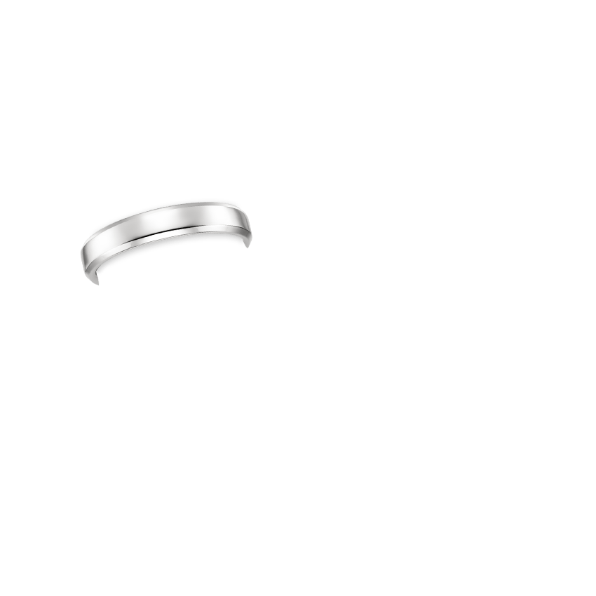 Ring on Hand