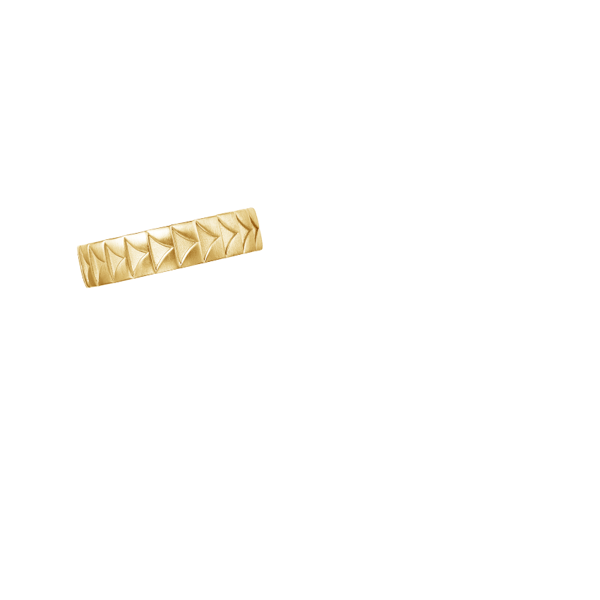 Ring on Hand
