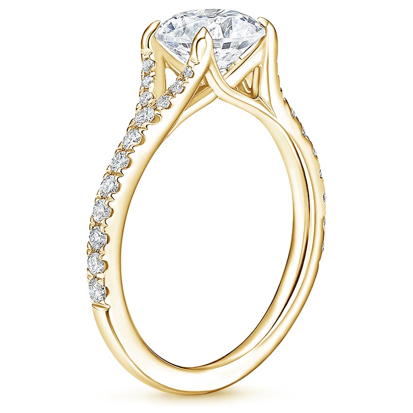 18K Yellow Gold Felicity Diamond Ring (1/4 ct. tw.), large side view