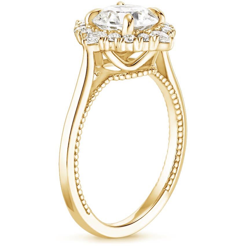 18K Yellow Gold Dahlia Diamond Ring (1/3 ct. tw.), large side view