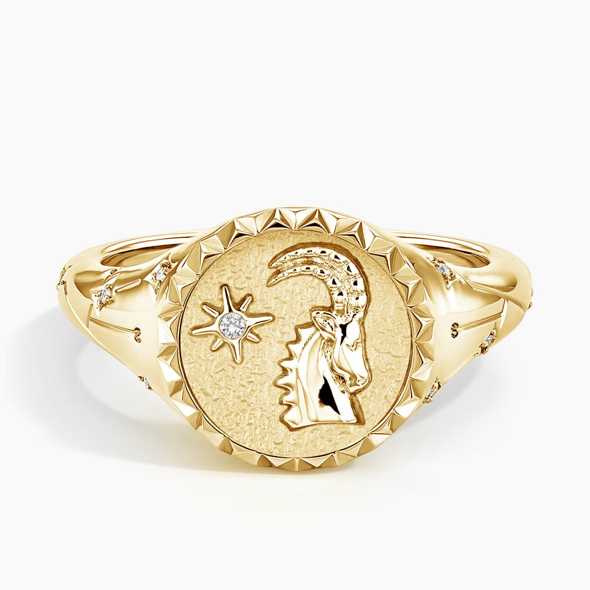 Gold Titanium Zodiac Ring | Zodiac rings, Zodiac jewelry, Zodiac signs