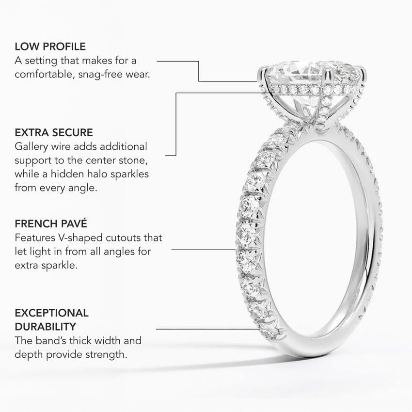 infographic img