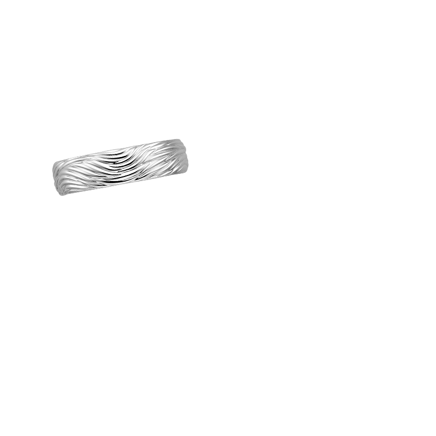 Ring on Hand
