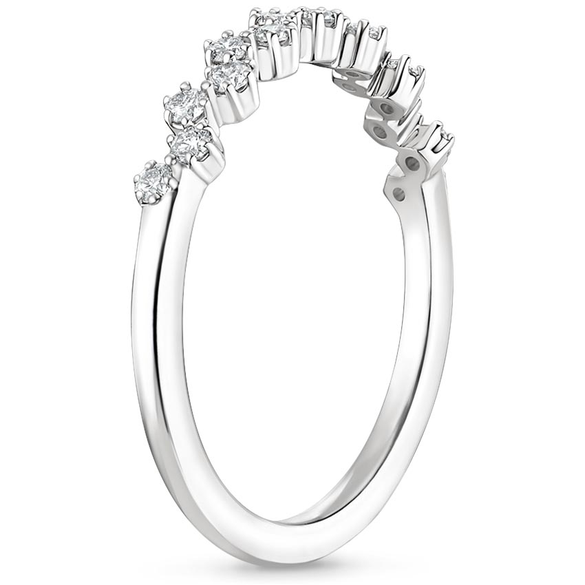 Platinum Calliope Diamond Ring (1/5 ct. tw.), large side view
