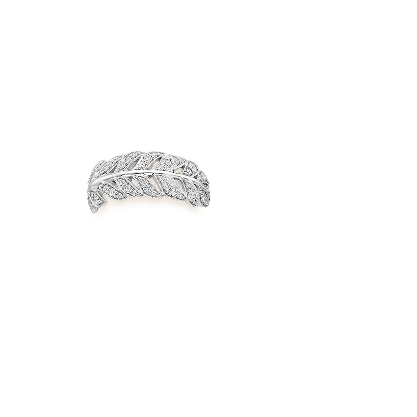 Ring on Hand
