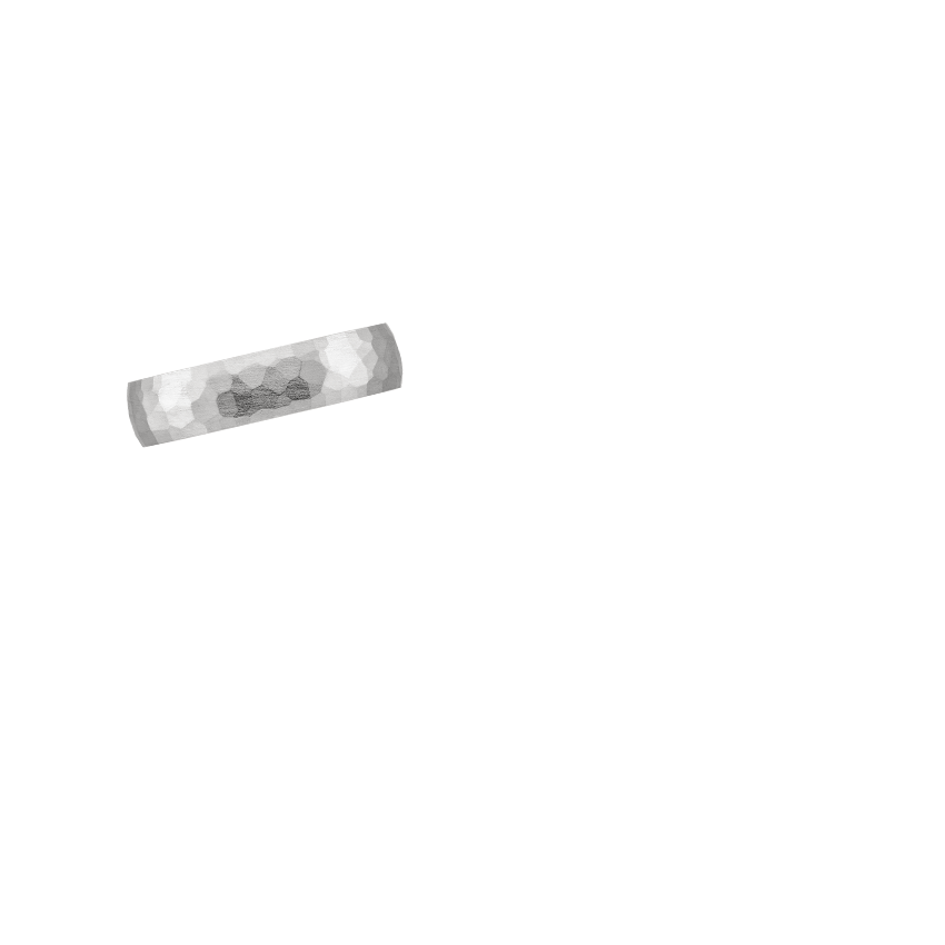 Ring on Hand