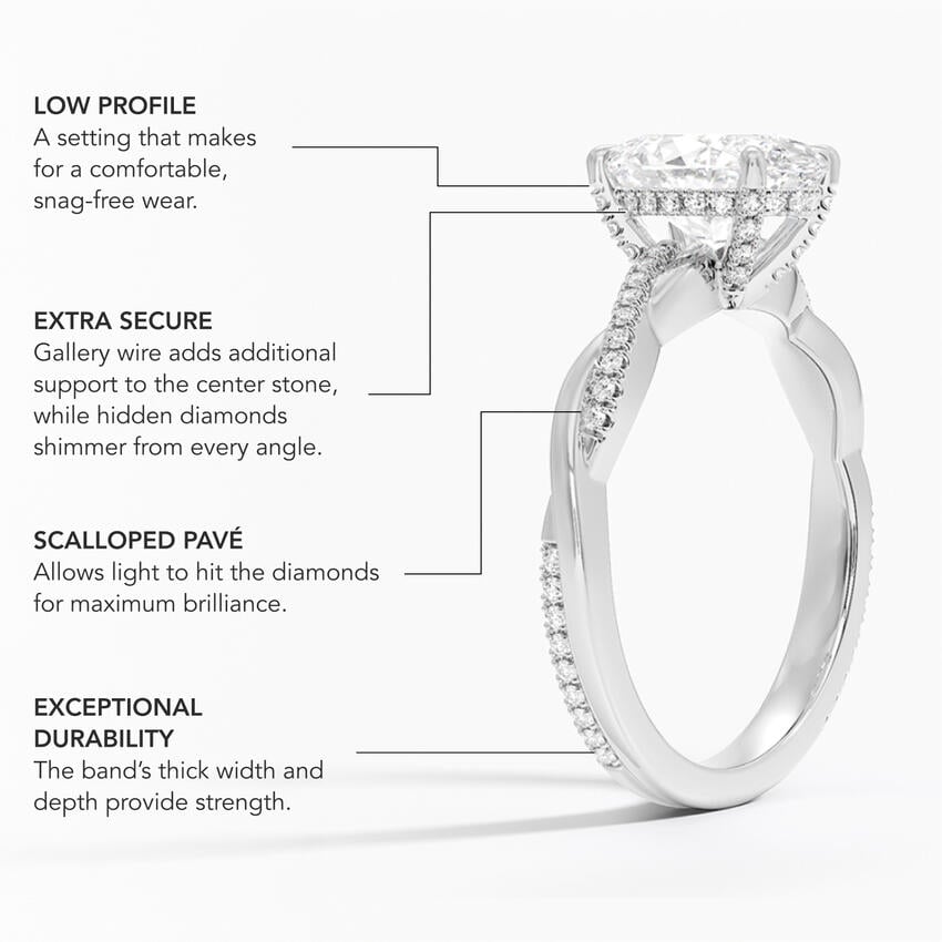 infographic img