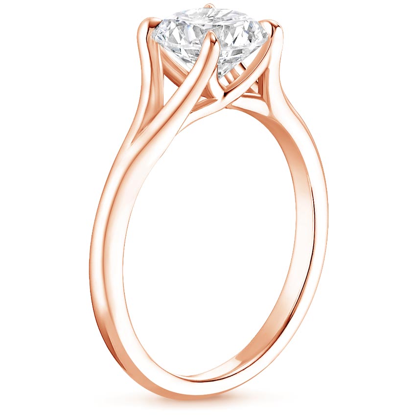 14K Rose Gold Reverie Ring, large side view