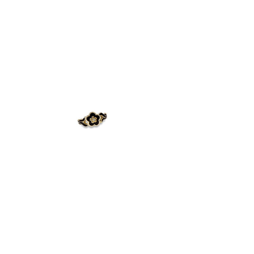 Ring on Hand