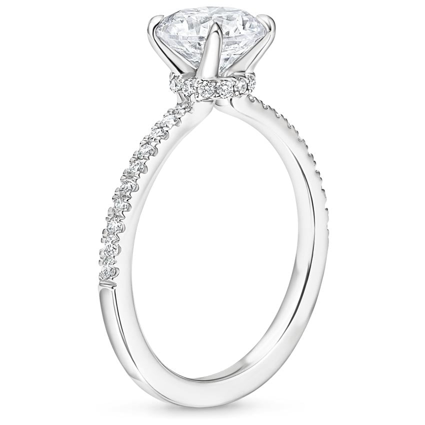 Platinum Petite Demi Diamond Ring (1/5 ct. tw.), large side view