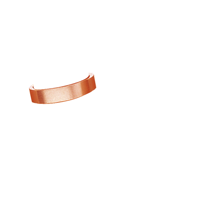 Ring on Hand