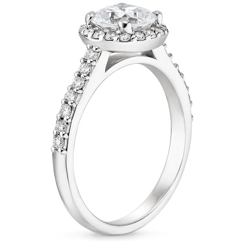 Platinum Fancy Halo Diamond Ring with Side Stones (1/3 ct. tw.), large side view
