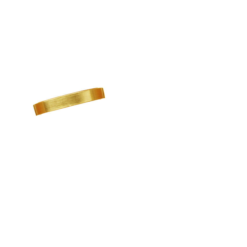 Ring on Hand