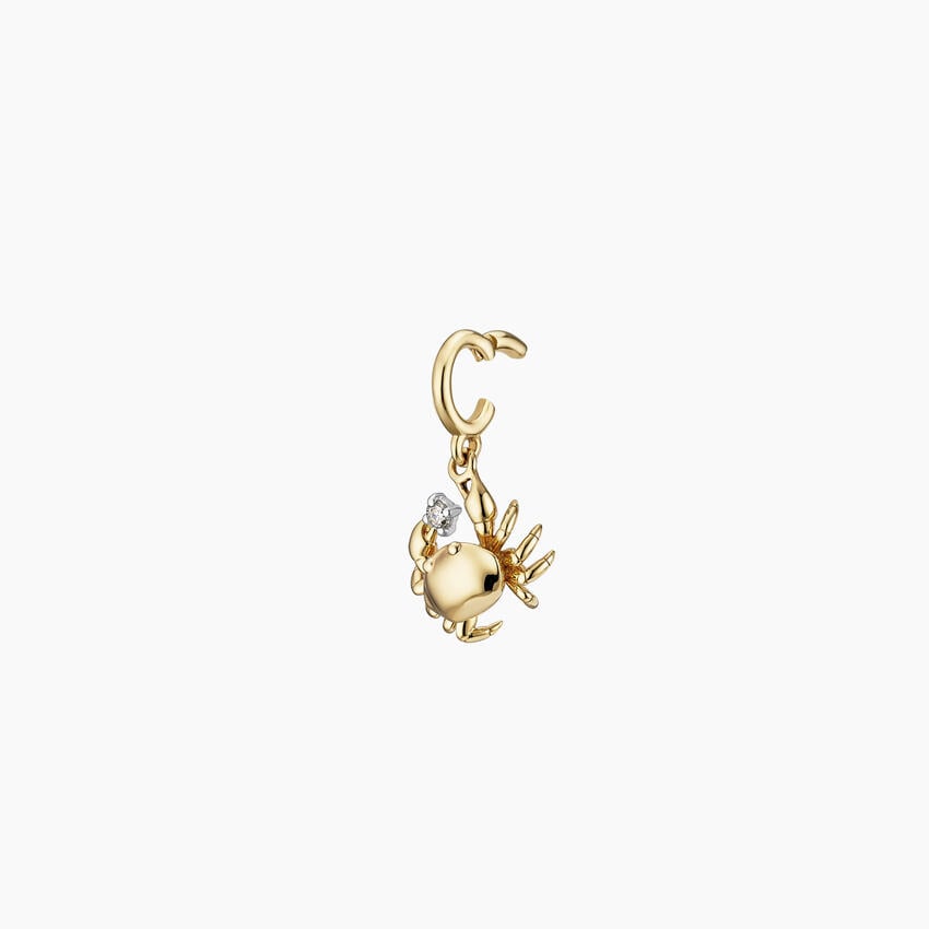 add_img1 img