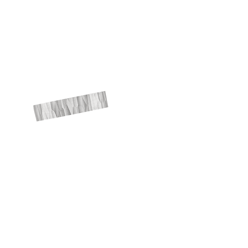 Ring on Hand