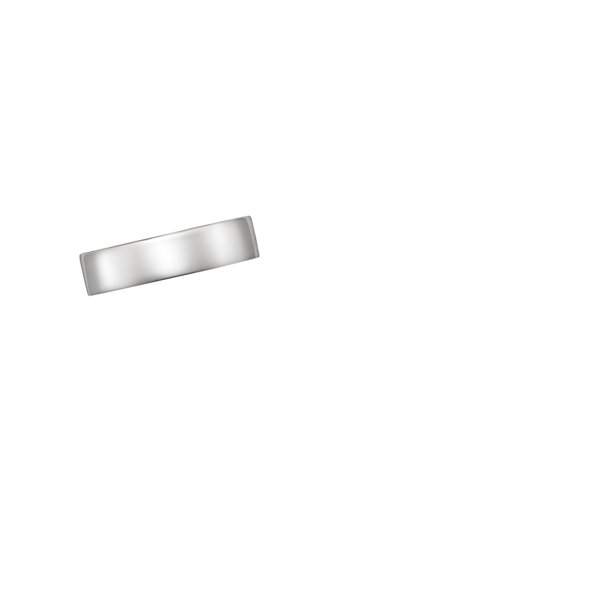 Ring on Hand