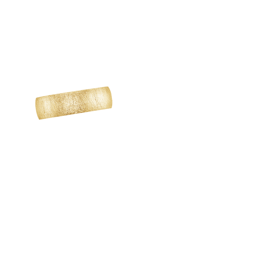 Ring on Hand