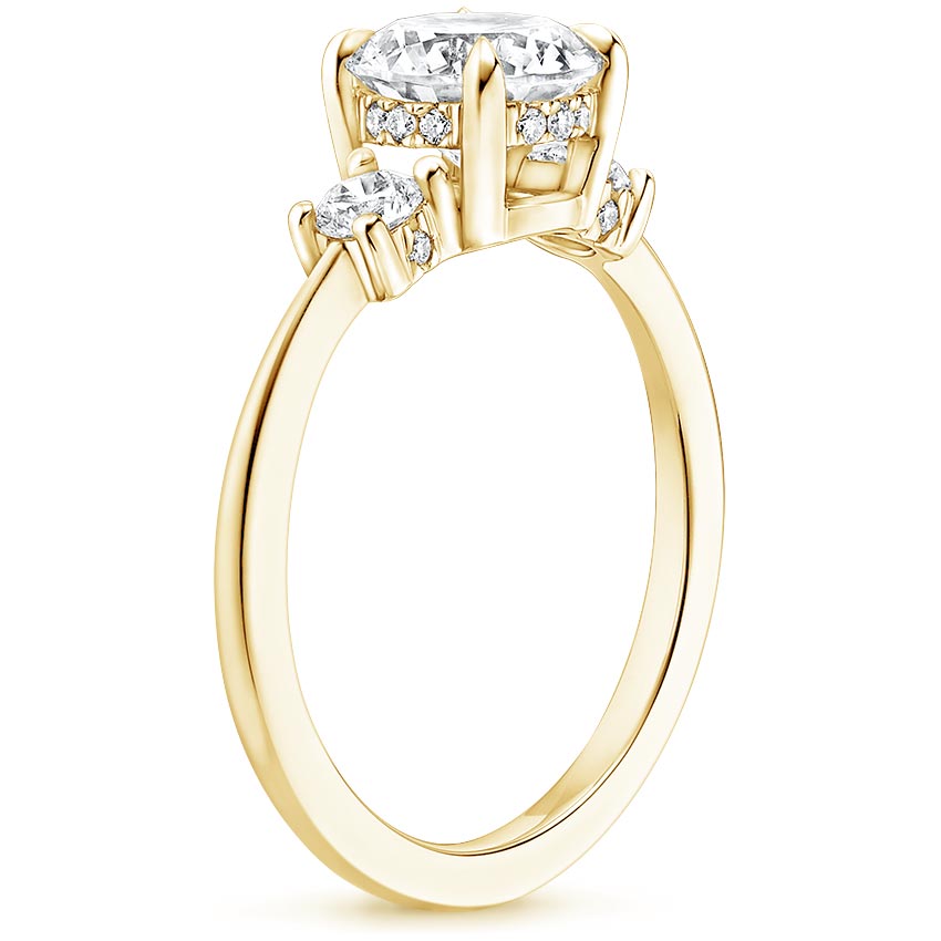 18K Yellow Gold Adorned Selene Diamond Ring (1/4 ct. tw.), large side view