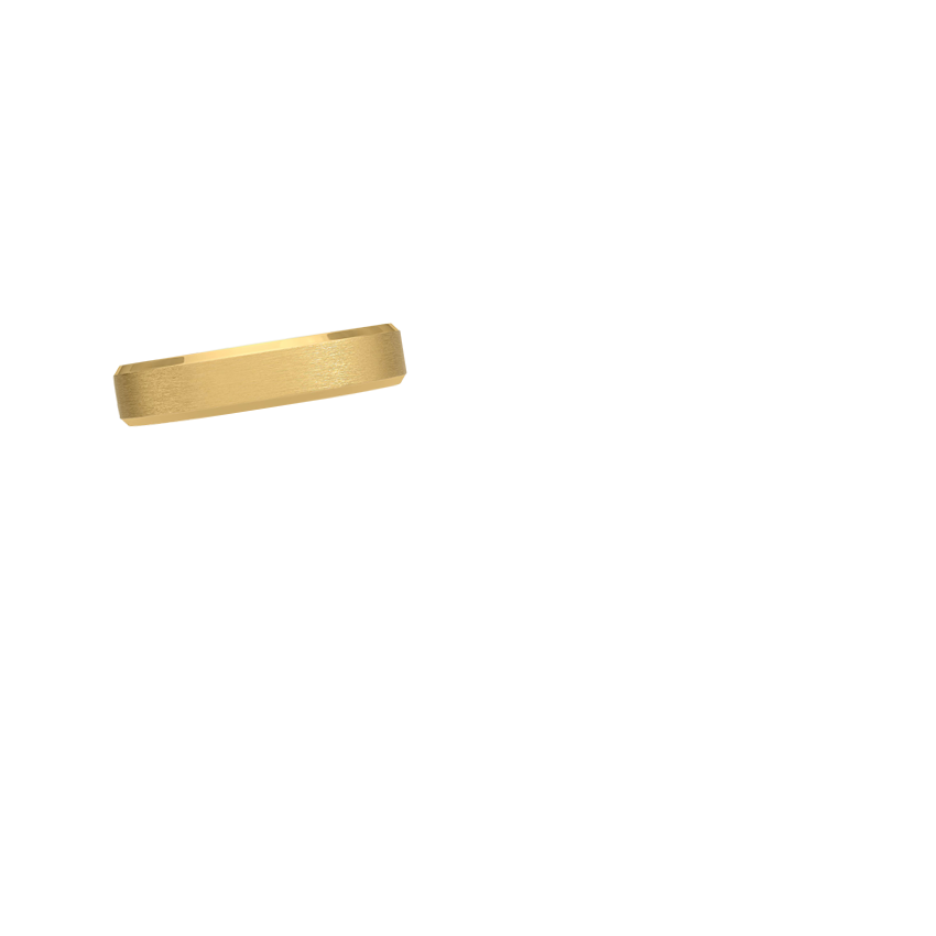 Ring on Hand