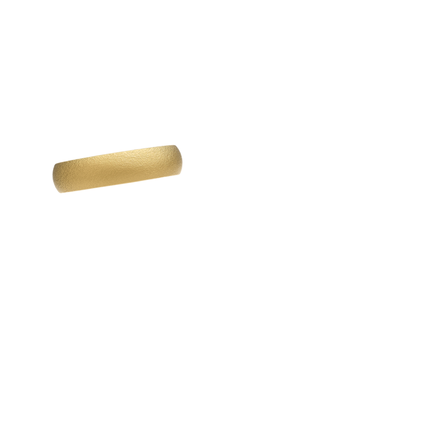 Ring on Hand