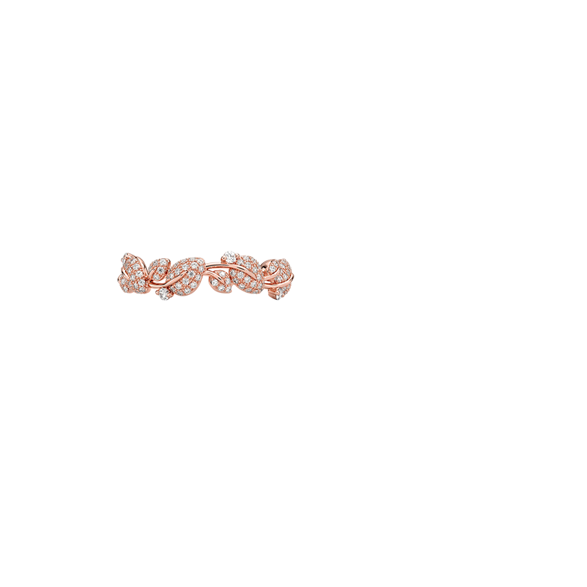 Ring on Hand