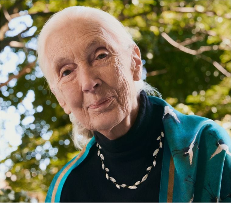 Jane Goodall wearing a diamond pavé necklace from her collection with Brilliant Earth.