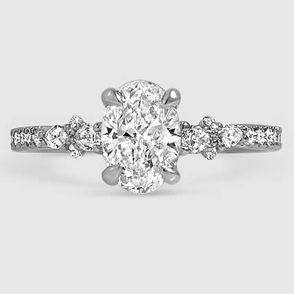 Platinum primrose 