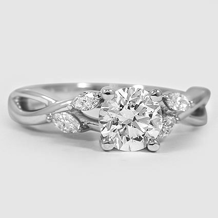 Platinum willow 