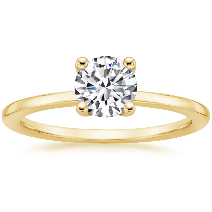 Round Hidden Diamond Halo Engagement Ring 