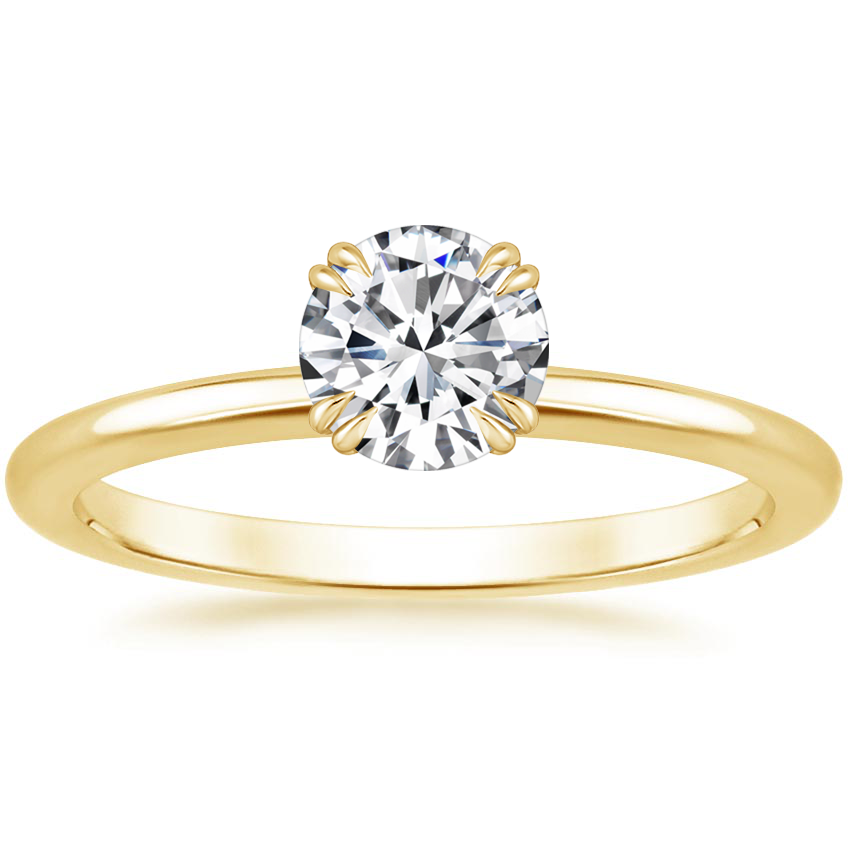 18K Yellow Gold Aveline Ring, large top view