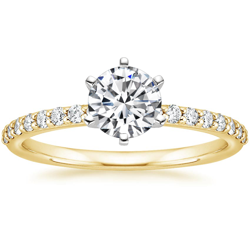 Six Prong Classic Diamond Ring | Six Prong Petite Shared Prong ...