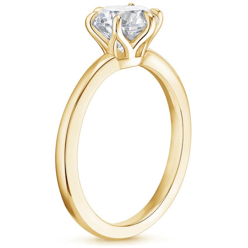 18K Yellow Gold Esme Ring, large side view