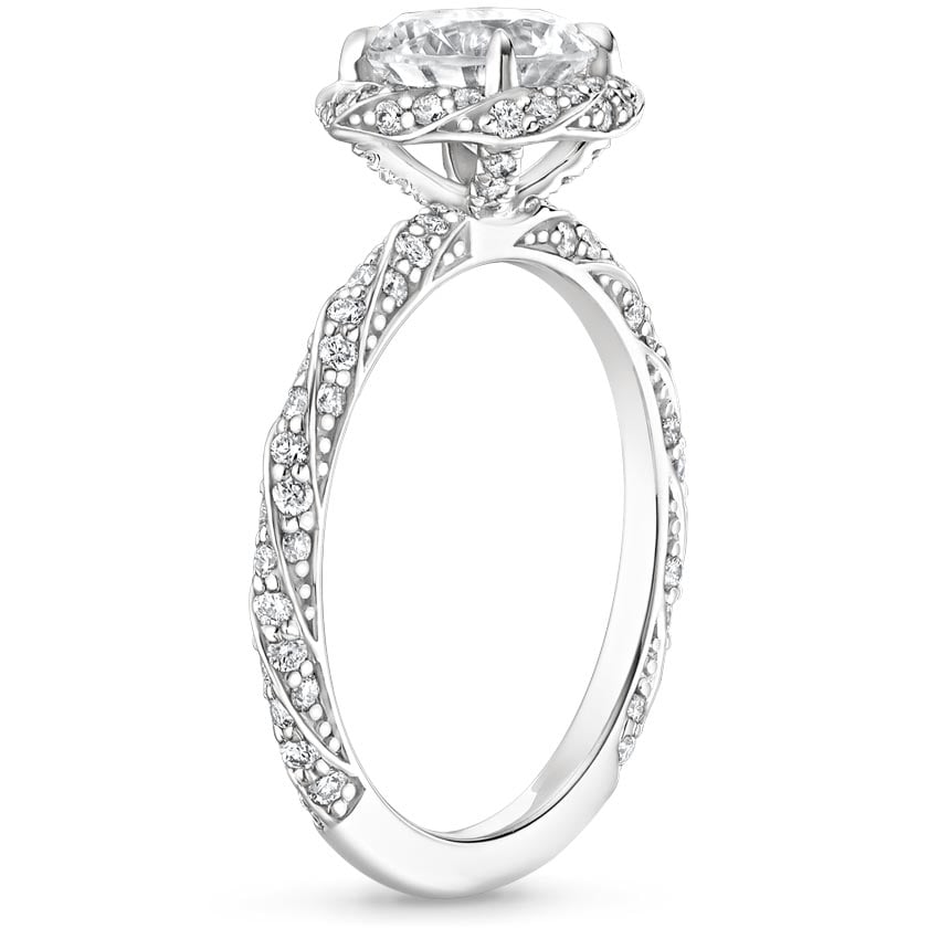 Platinum Nova Diamond Ring (1/2 ct. tw.), large side view