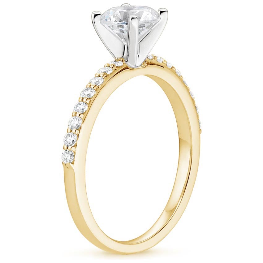 18K Yellow Gold Petite Shared Prong Diamond Ring (1/4 ct. tw.), large side view