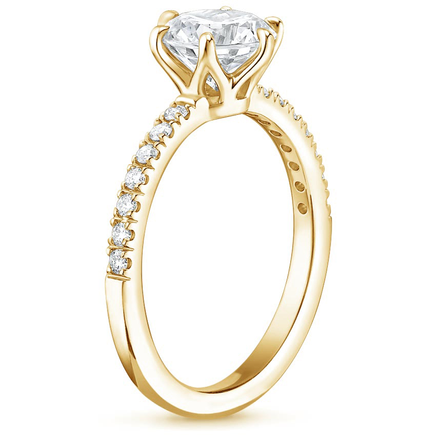 18K Yellow Gold Bliss Diamond Ring (1/6 ct. tw.), large side view
