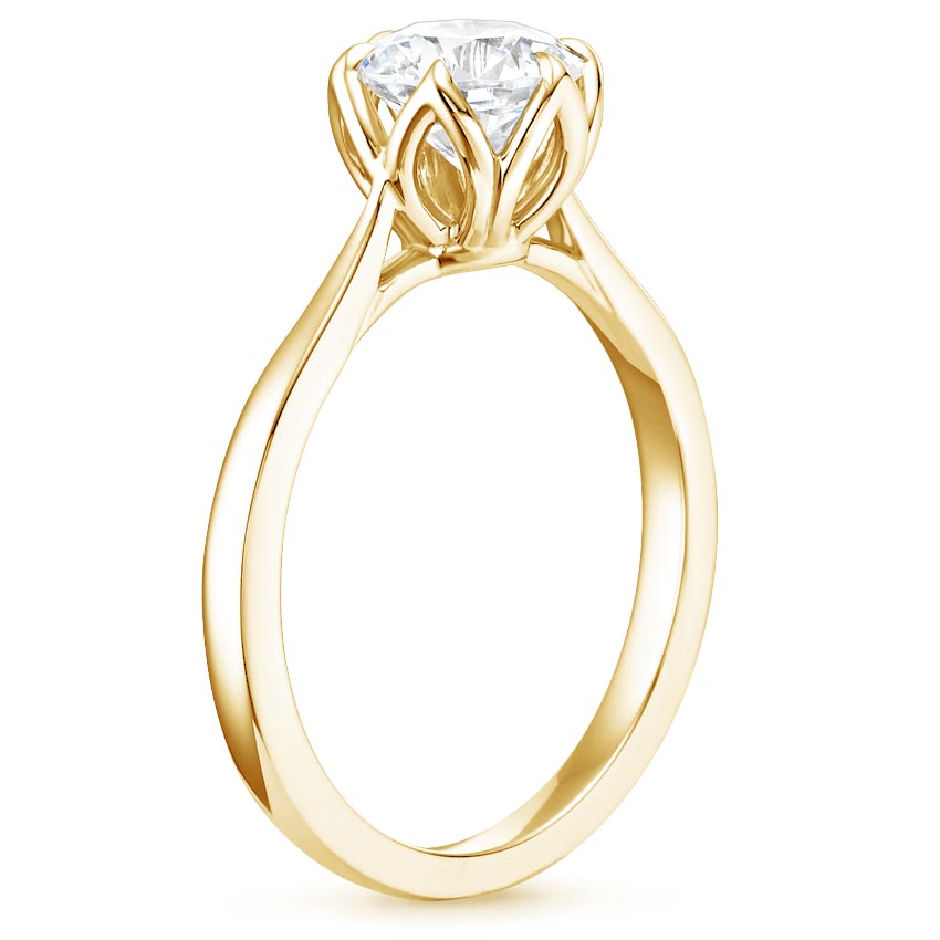 18K Yellow Gold Caliana Ring, large side view