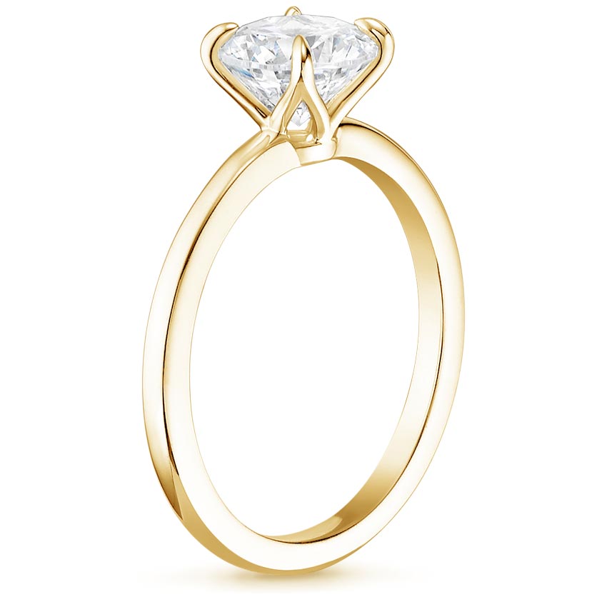 18K Yellow Gold Elodie Ring, large side view