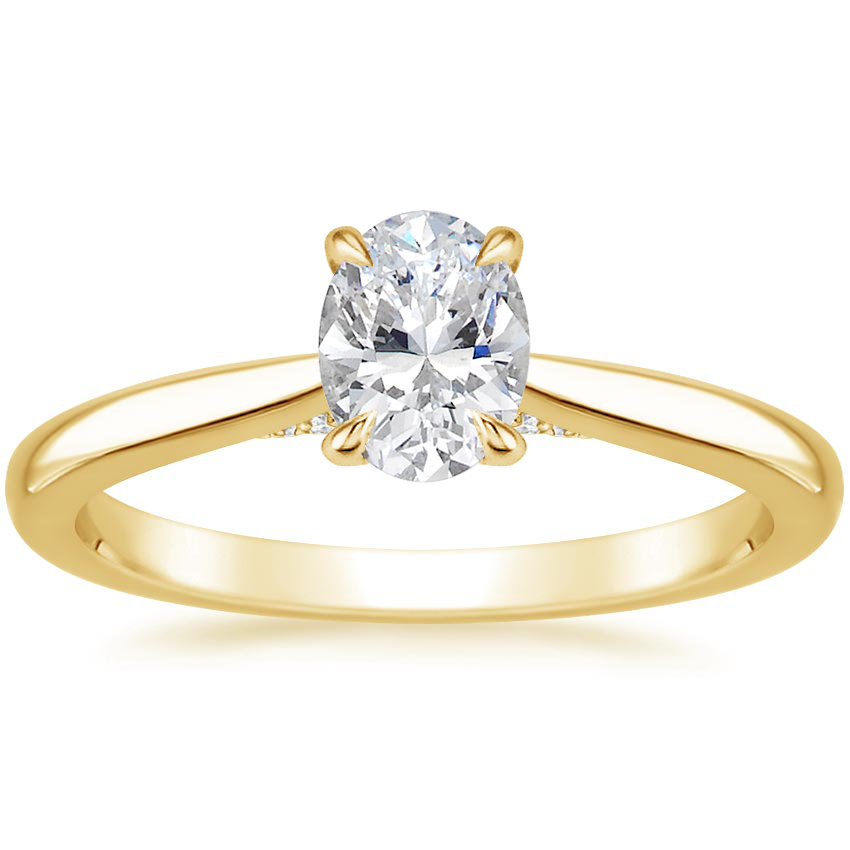 Diamond Bridge Solitaire Engagement Ring | Dawn | Brilliant Earth