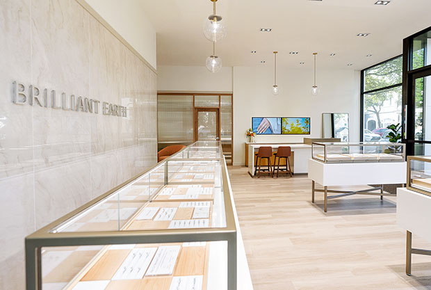 Brilliant 2025 earth website