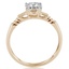 The Iniabi Ring, smallside view