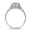 The Dolorita Ring, smallside view